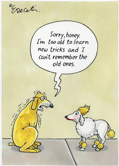 "Sorry, honey. I'm too old to learn new tricks and I can't remember the old ones."