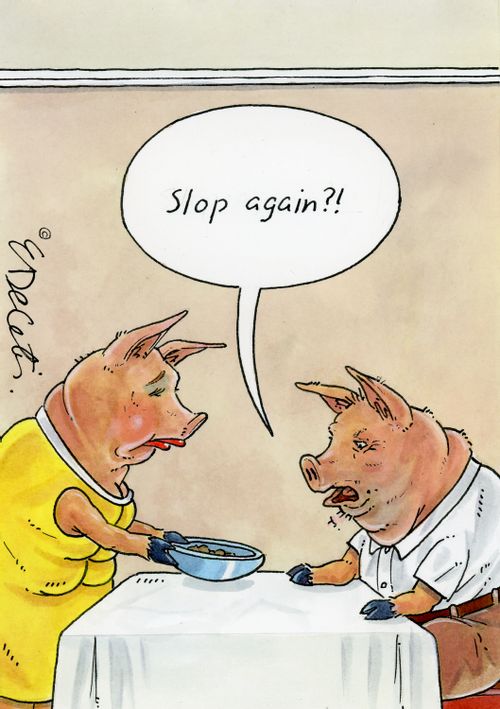 "Slop again?!"