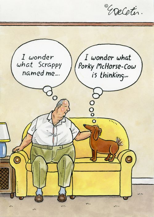 "I wonder what Scrappy named me..." "I wonder what Porky McHorse-Cow is thinking..."