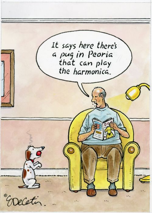 "It says here there's a pug in Peoria that can play the harmonica."
