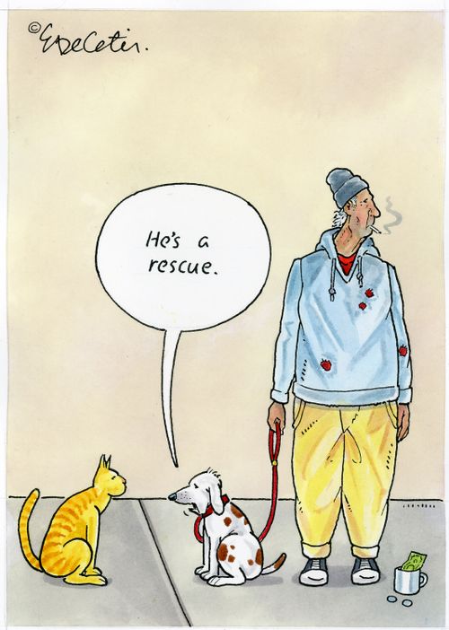"He's a rescue."