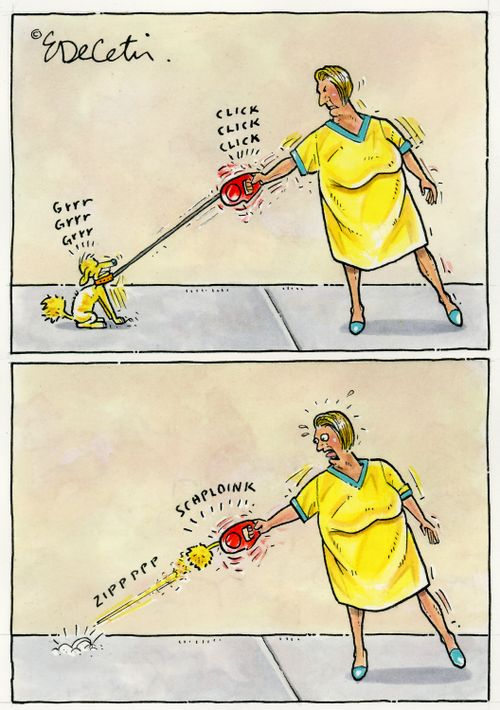 The Stubborn Dog