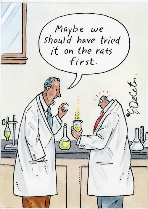 "Maybe we should have tried it on the rats first."