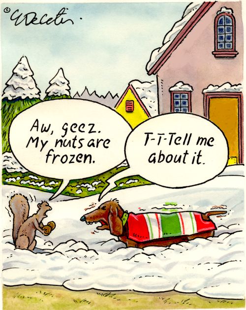 "Aw, geez. My nuts are frozen." "T-T-Tell me about it."