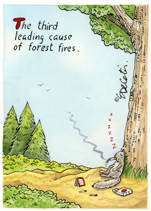 "The third leading cause of forest fires."