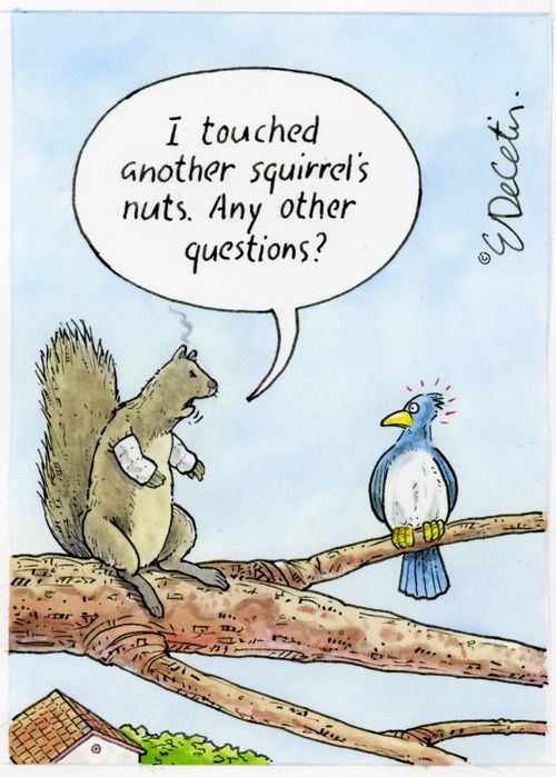 "I touched another squirrel's nuts. Any other questions?"