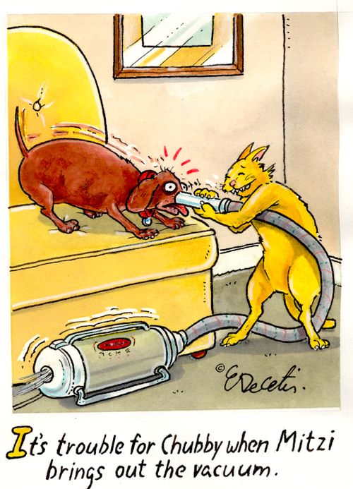 "It's trouble for Chubby when Mitzi brings out the vacuum."