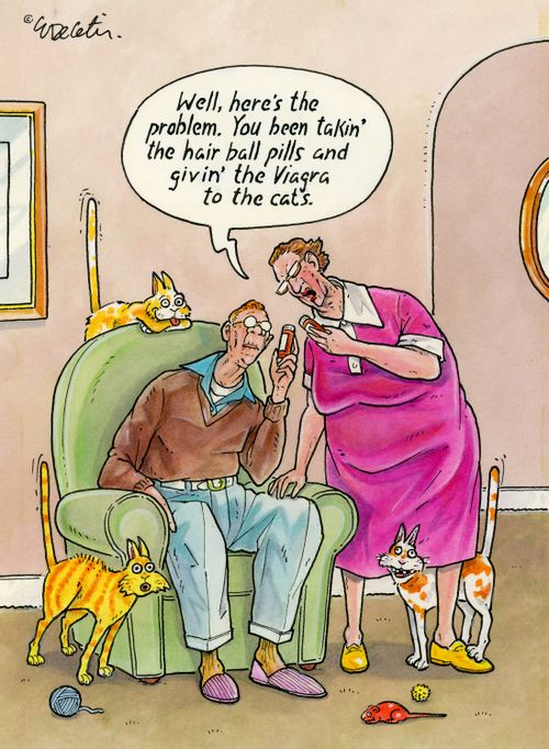 "Well, here's the problem. You been takin' the hair ball pills and givin' the Viagra to the cats."