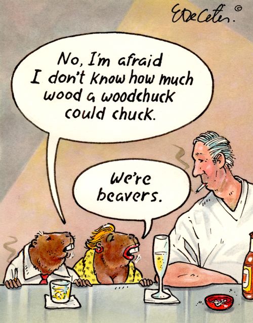 "No, I'm afraid I don't know how much wood a woodchuck could chuck."  "We're beavers."