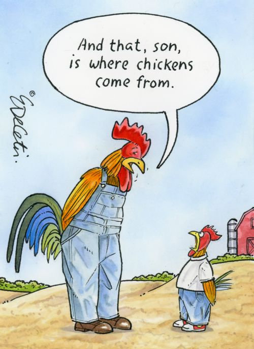 "And that, son, is where chickens come from."