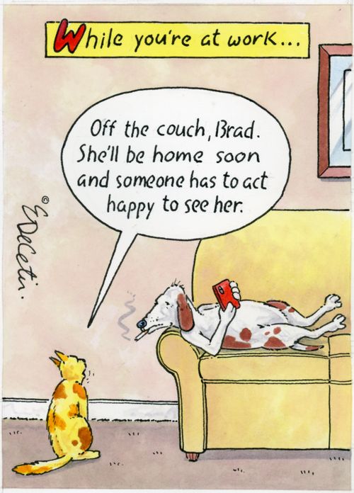 "Off the couch, Brad. She'll be home soon and someone has to act happy to see her."