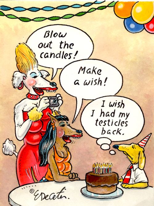 "Blow out the candles!"   "Make a wish!"   "I wish I had my testicles back."