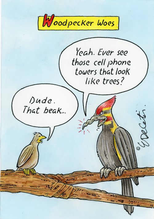 "Yeah. Ever see those cell phone towers that look like trees?" "Dude. That beak..."