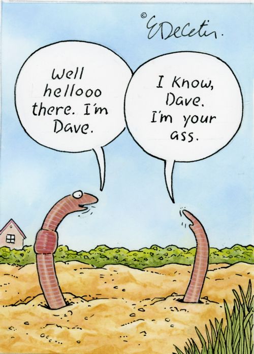 "Well hellooo there. I'm Dave." "I know, Dave. I'm your ass."