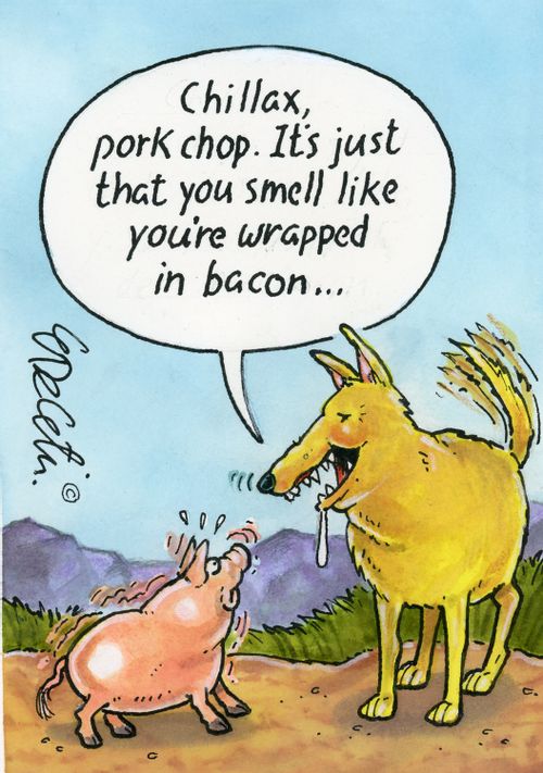 "Chillax, pork chop. It's just that you smell like you're wrapped in bacon..."