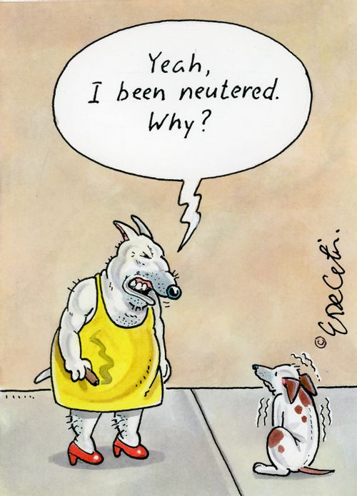 "Yeah, I been neutered. Why?"