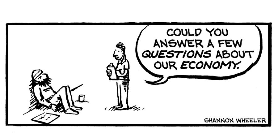 "Could you answer a few questions about our economy."