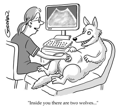 "Inside you there are two wolves..."