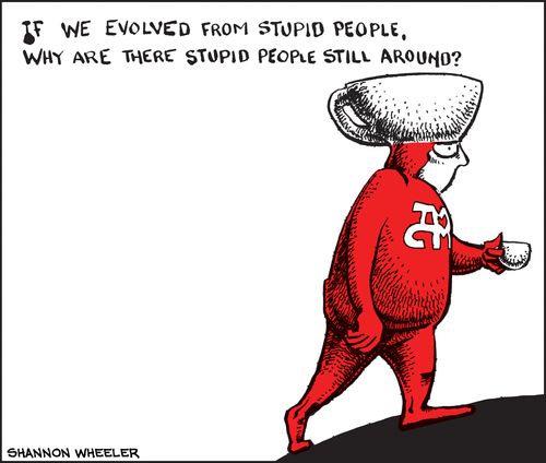 "If we evolved from stupid people, why are there stupid people still around?"