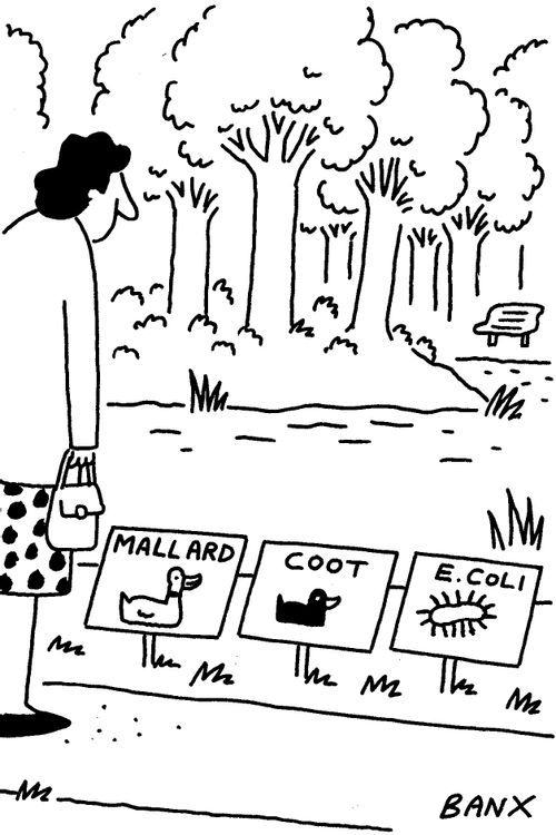 Sewage poisoning rivers