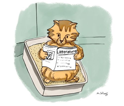 Litterature