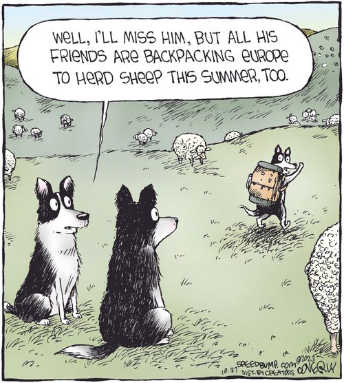 "Well, I'll miss him, but all his friends are backpacking Europe to herd sheep this summer, too."