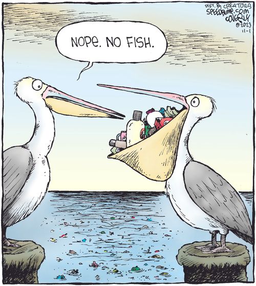 "Nope. No fish."