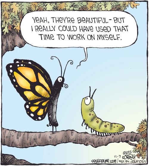 "Yeah, they're beautiful - but I really could have used that time to work on myself."