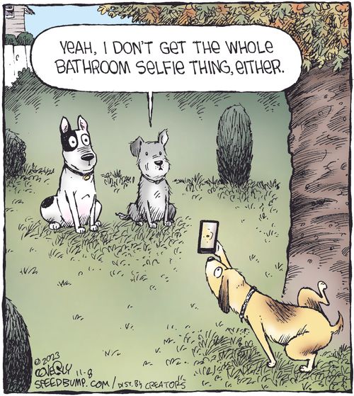 "Yeah, I don't get the whole bathroom selfie thing, either."