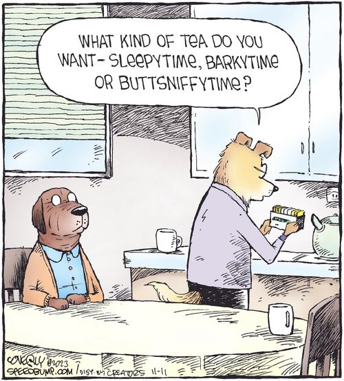 "What kind of tea do you want - sleepytime, barkytime or buttsniffytime?"