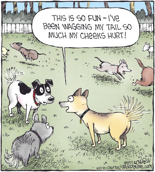 "This is so fun - I've been wagging my tail so much my cheeks hurt!"