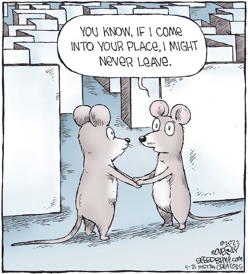 "You know, if I come into your place, I might never leave."