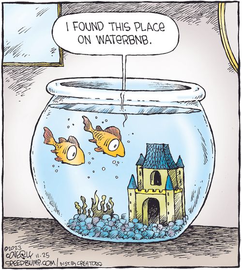 "I found this place on Waterbnb."