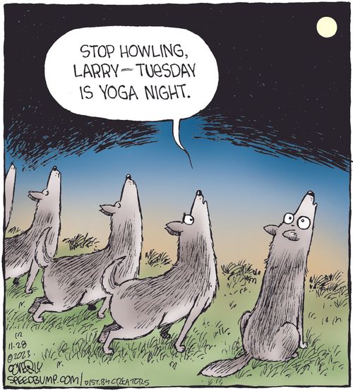 "Stop howling, Larry — Tuesday is yoga night."
