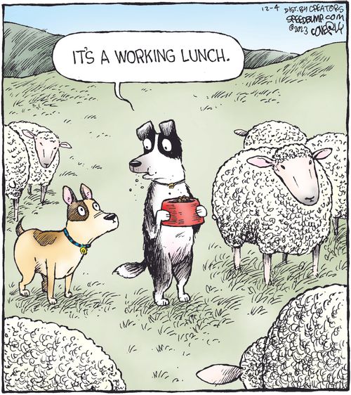 "It's a working lunch."