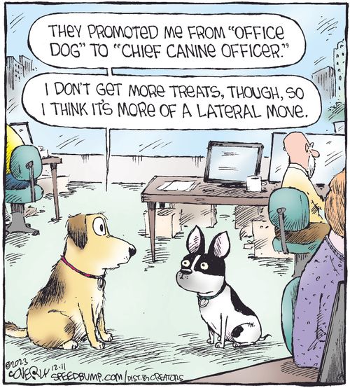 "They promoted me from 'office dog' to 'chief canine officer.' I don't get more treats, though, so I think it's more of a lateral move."