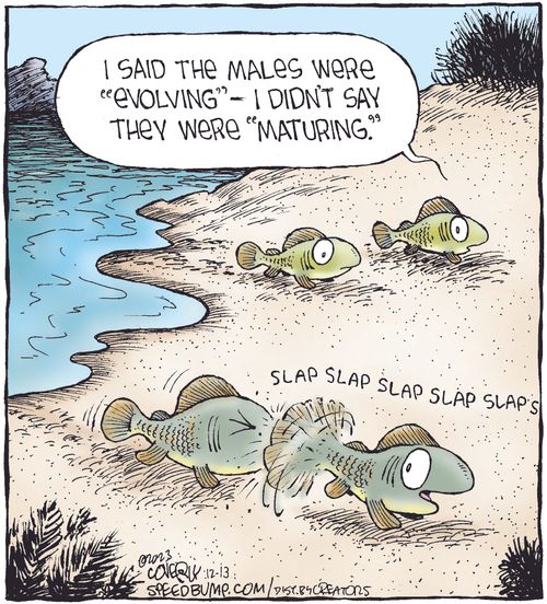 "I said the males were 'evolving' – I didn't say they were 'maturing.'"