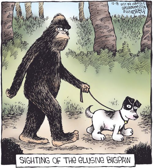 Sighting of the elusive Bigpaw