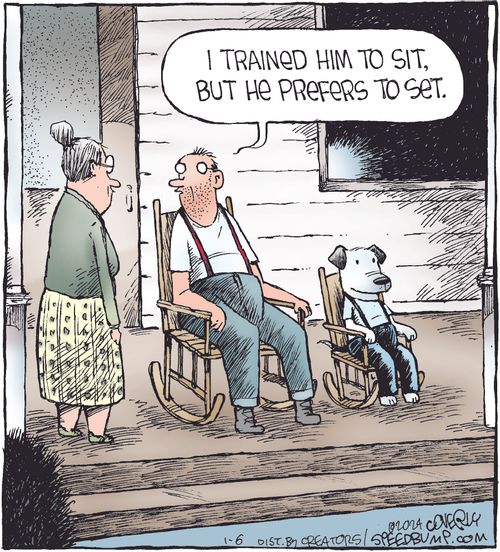 "I trained him to sit, but he prefers to set."