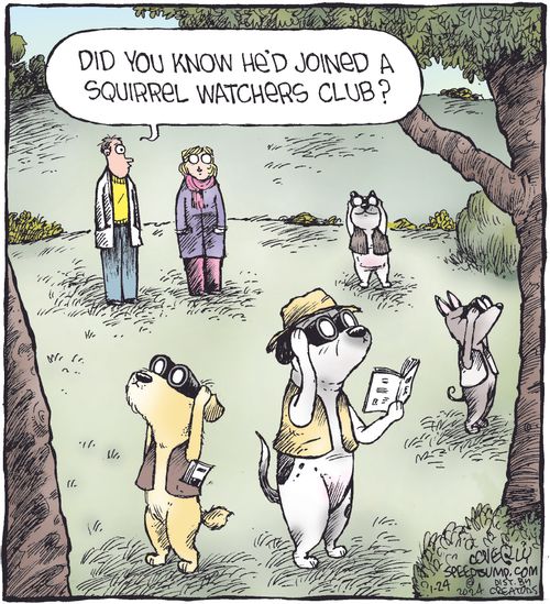 "Did you know he'd joined a squirrel watchers club?"