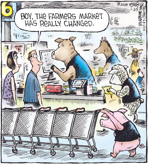 "Boy, the farmers market has really changed."