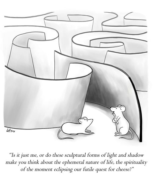 "Is it just me, or do these sculptural forms of light and shadow make you think about the ephemeral nature of life, the spirituality of the moment eclipsing our futile quest for cheese?"