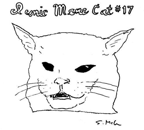 "Iconic Meme Cat #17"