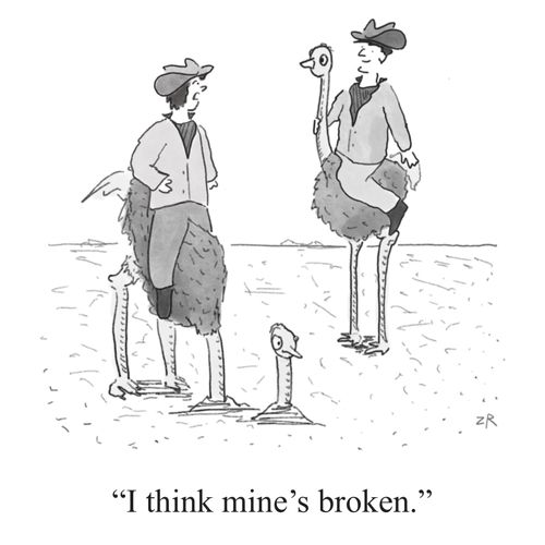 "I think mine’s broken."