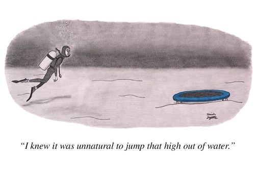 "I knew it was unnatural to jump that high out of water."