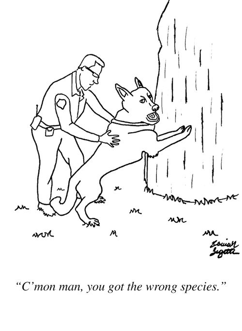 "C'mon man, you got the wrong species."