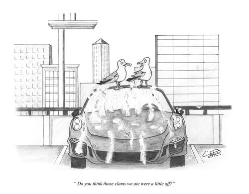 "Do you think those clams we ate were a little off?"