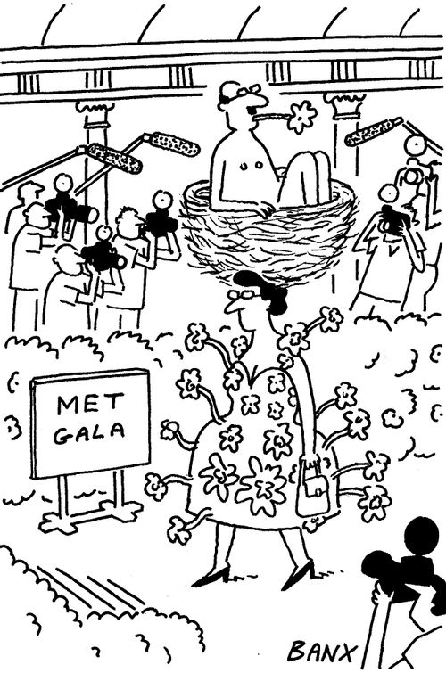 Met Gala 2024