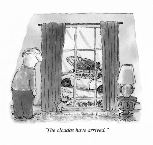 "The cicadas have arrived."