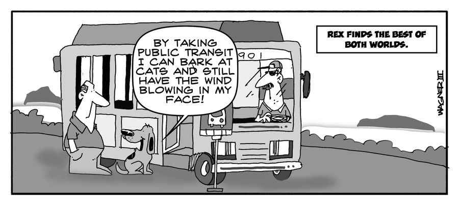"By taking public transit I can bark at cats and still have the wind blowing in my face!"